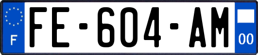 FE-604-AM