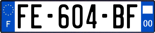 FE-604-BF