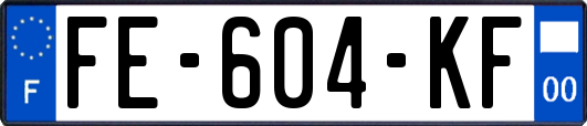 FE-604-KF