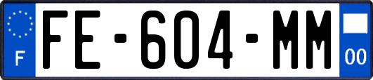 FE-604-MM