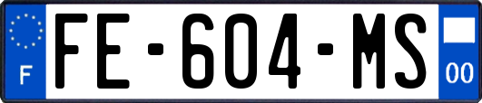 FE-604-MS