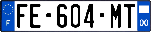 FE-604-MT