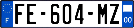 FE-604-MZ
