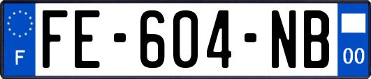 FE-604-NB