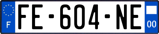 FE-604-NE