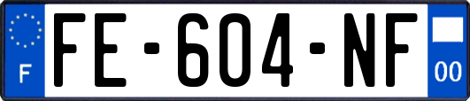 FE-604-NF