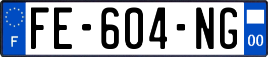 FE-604-NG