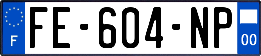 FE-604-NP