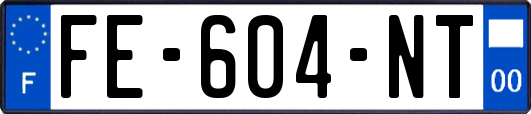 FE-604-NT