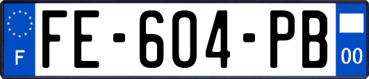 FE-604-PB