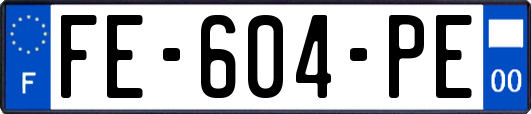 FE-604-PE