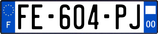 FE-604-PJ