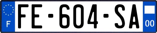 FE-604-SA