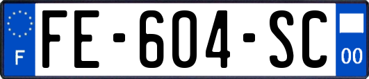 FE-604-SC