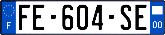 FE-604-SE