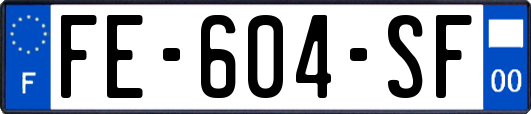 FE-604-SF