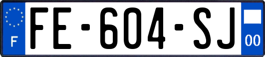 FE-604-SJ