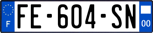 FE-604-SN