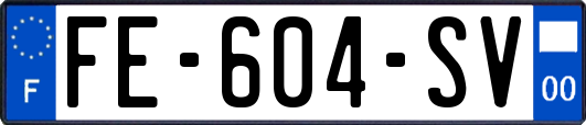 FE-604-SV