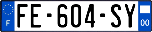 FE-604-SY