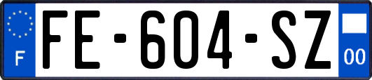 FE-604-SZ