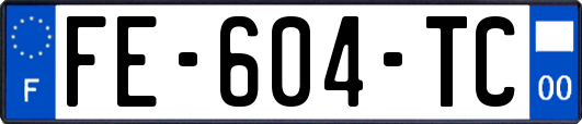 FE-604-TC