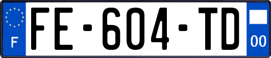 FE-604-TD