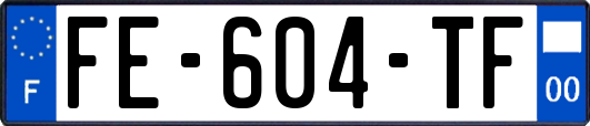 FE-604-TF