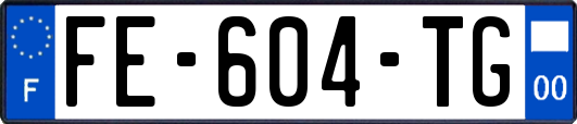 FE-604-TG