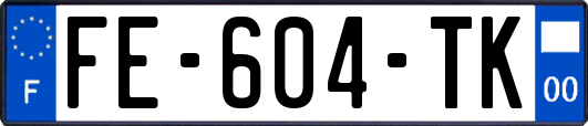 FE-604-TK