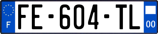 FE-604-TL