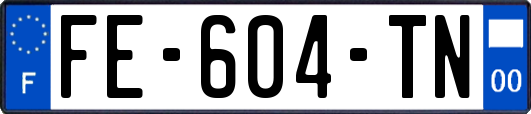 FE-604-TN