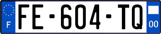 FE-604-TQ