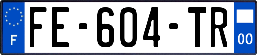 FE-604-TR