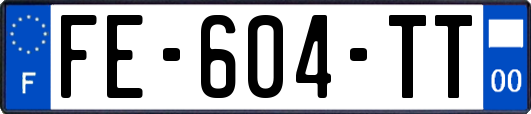 FE-604-TT