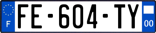 FE-604-TY