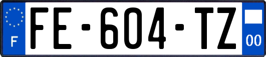 FE-604-TZ