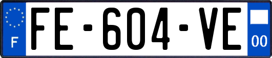 FE-604-VE