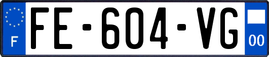 FE-604-VG