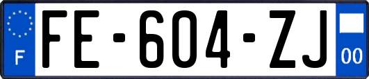 FE-604-ZJ