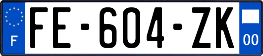 FE-604-ZK