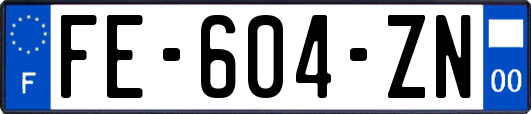 FE-604-ZN