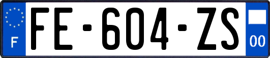 FE-604-ZS