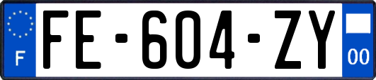 FE-604-ZY