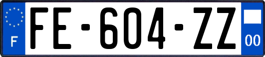 FE-604-ZZ