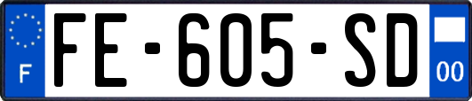 FE-605-SD