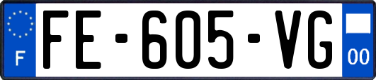 FE-605-VG