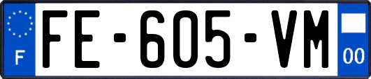 FE-605-VM