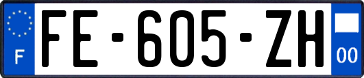 FE-605-ZH