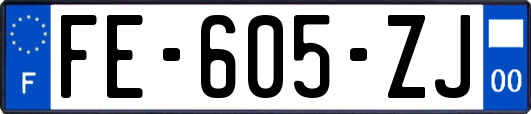 FE-605-ZJ